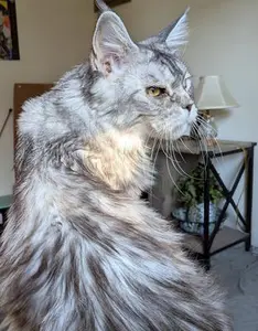 Ellie Mae - Serioius