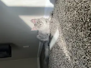 Most recent photo 9/7/25