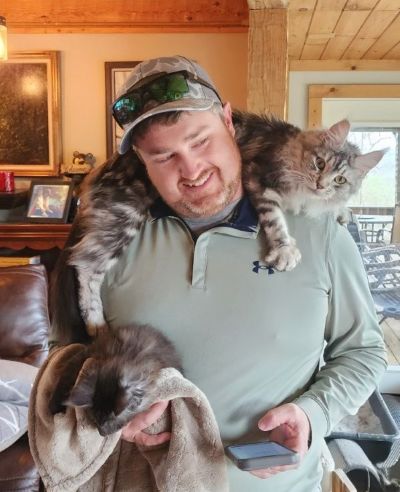 (Star) Diamond*Alexa Evanstar, Black Silver Blotched Tabby Maine Coon, photo 1