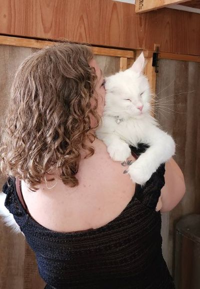 Mystique Chudo ‘Mysti’, White Maine Coon queen