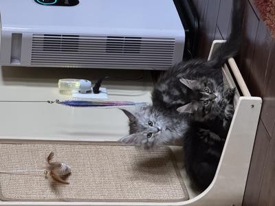 Hanging out together again