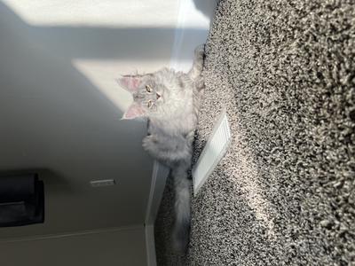 Most recent photo 9/7/25