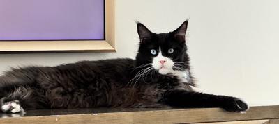 I’m a clone of my daddy!!